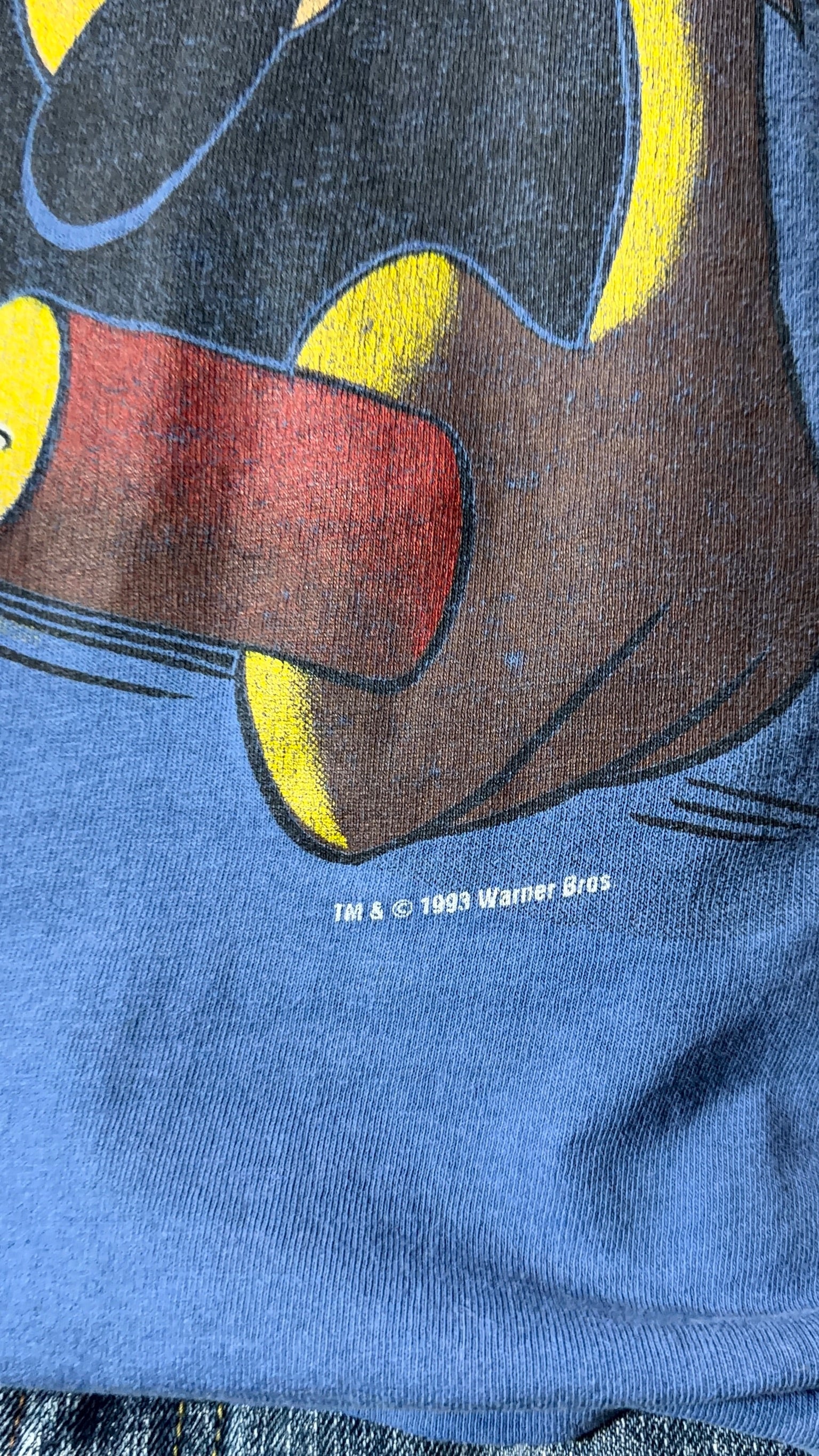 1993 Warner Bros Coyote Tee