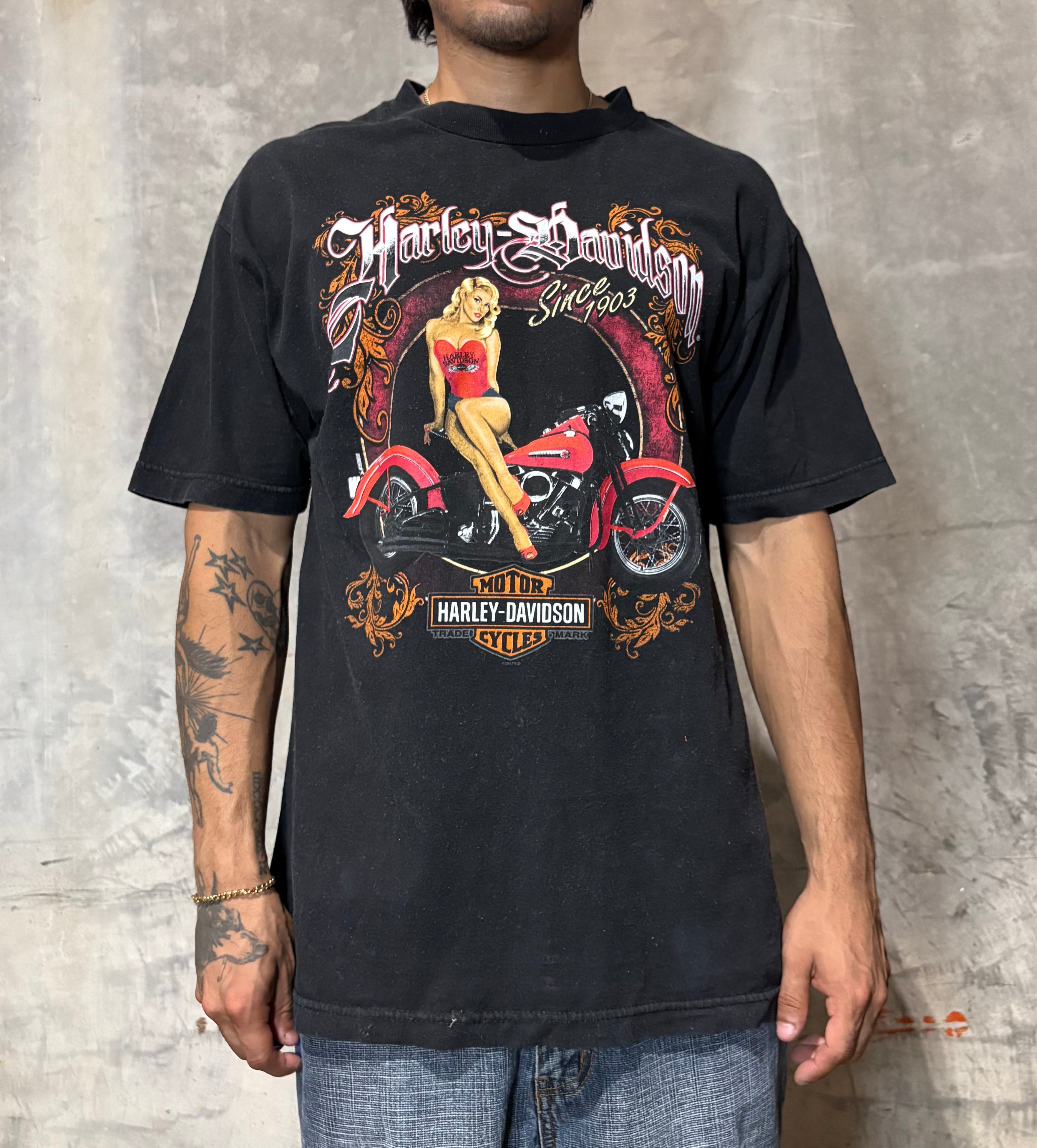 Vintage Colorado Springs Harley Davidson Tee